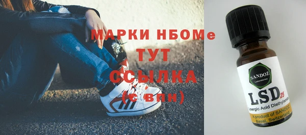 ГАЛЛЮЦИНОГЕННЫЕ ГРИБЫ Вязьма