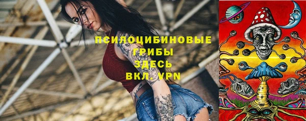мет Вяземский