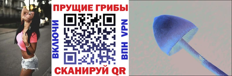Псилоцибиновые грибы GOLDEN TEACHER  Зверево 